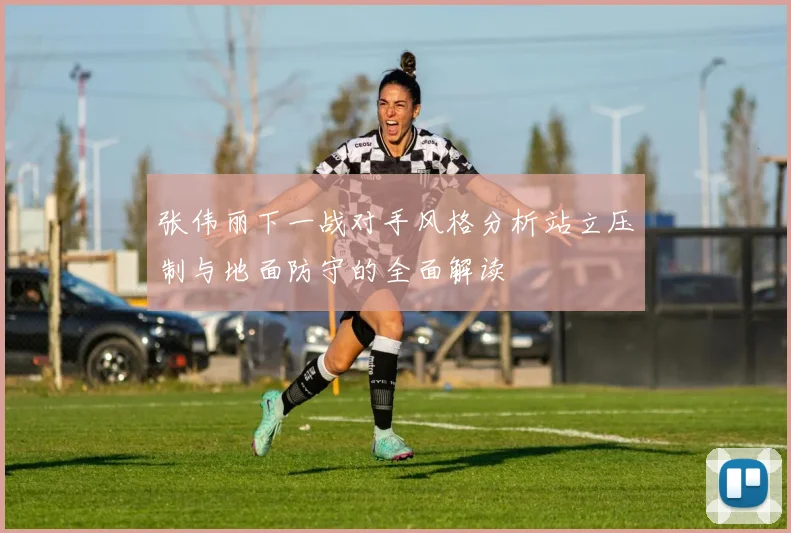 张伟丽下一战对手风格分析站立压制与地面防守的全面解读
