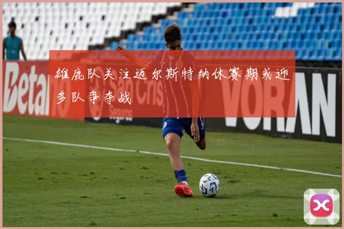 雄鹿队关注迈尔斯特纳休赛期或迎多队争夺战