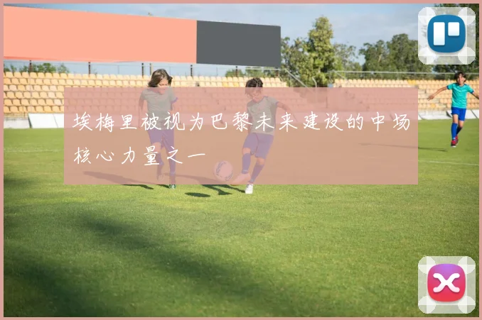 埃梅里被视为巴黎未来建设的中场核心力量之一